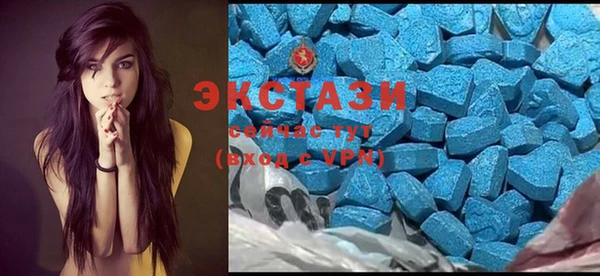 гидра Костерёво