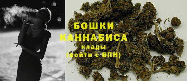 гидра Костерёво