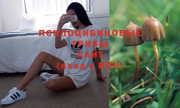 гидра Костерёво