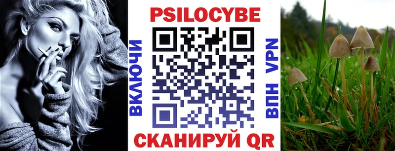Купить закладки  Первомайск  Псилоцибиновые грибы Cubensis 